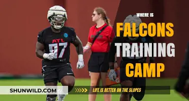 Exploring the Atlanta Falcons' Training Camp Location: A Comprehensive Guide