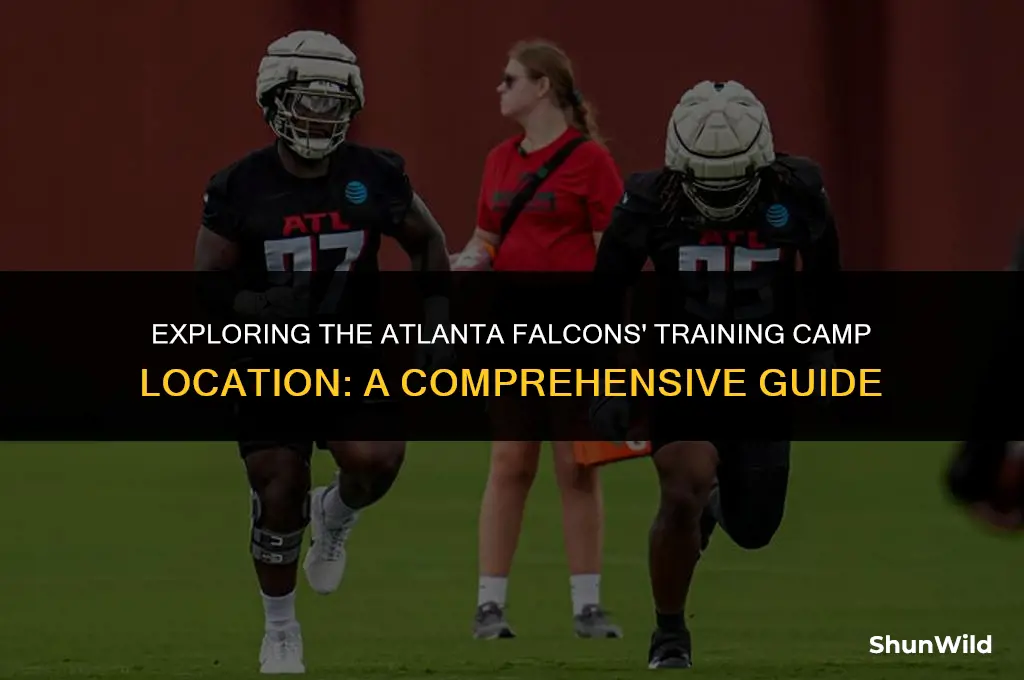 where is falcons training camp