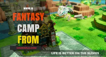 Unveiling the Origins of Fantasy Camp: A Journey Through Its Roots