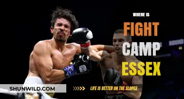Discover the Ultimate Training Ground: Fight Camp Essex Unveiled