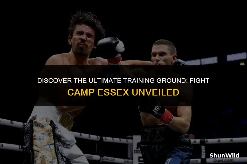 where is fight camp essex