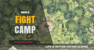 Exploring the Elusive Fight Camp: A Journey into the World of Combat Sports