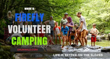 Discover Firefly Volunteer Camping: A Guide to Locations and Opportunities