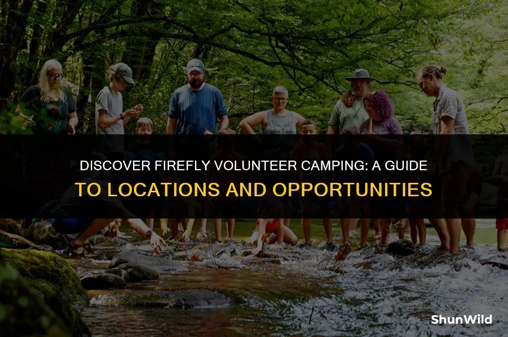 where is firefly volunteer camping