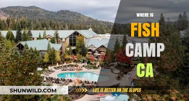 Exploring the Hidden Gem: Fish Camp, California