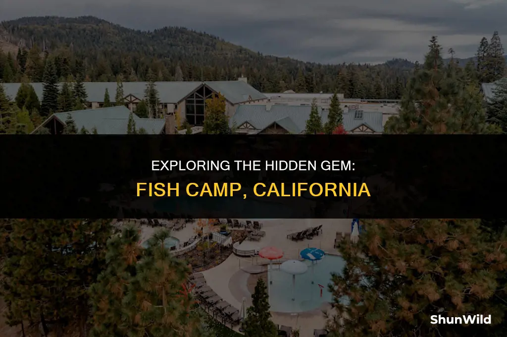 where is fish camp ca