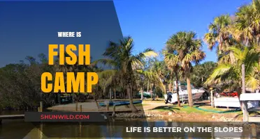 Discovering the Perfect Fish Camp: A Guide to Angler's Retreats