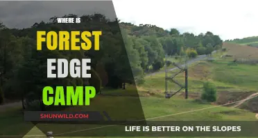 Exploring the Enchanting Forest Edge Camp: A Hidden Gem Unveiled