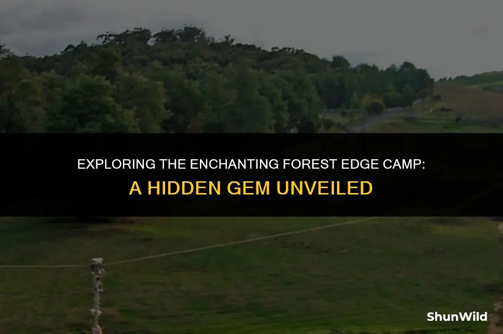 where is forest edge camp
