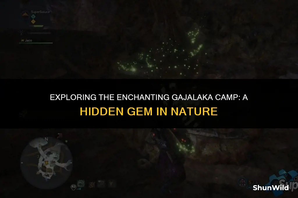 where is gajalaka camp