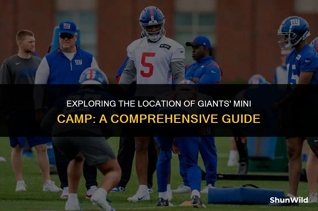 where is giants mini camp