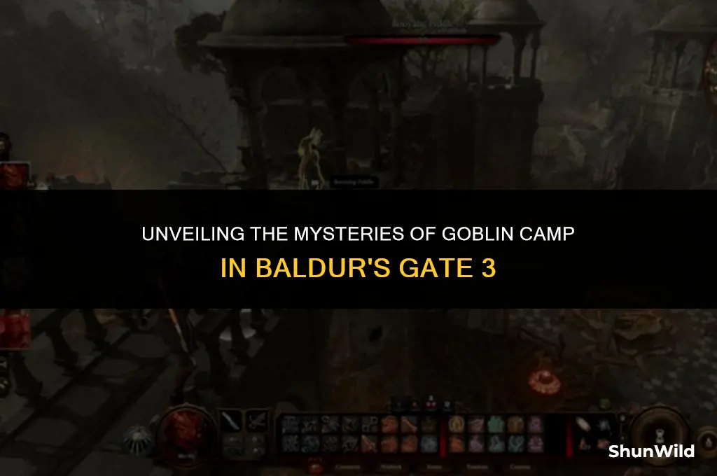 where is goblin camp bg3