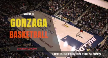 Gonzaga Basketball: Where the Magic Happens