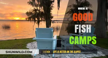 Discover the Best Kept Secrets: Top Fish Camps Unveiled