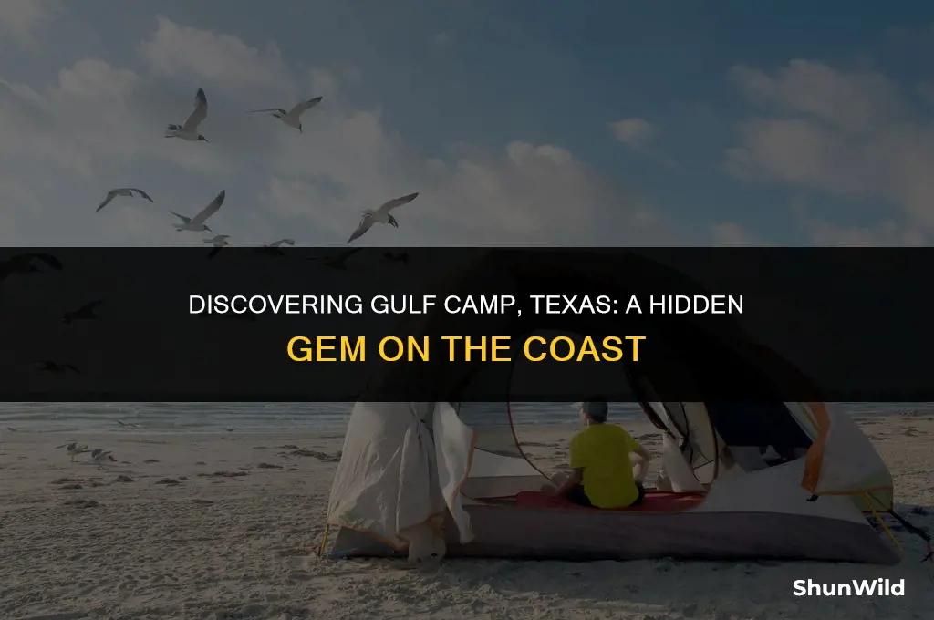 where is gulf camp texas