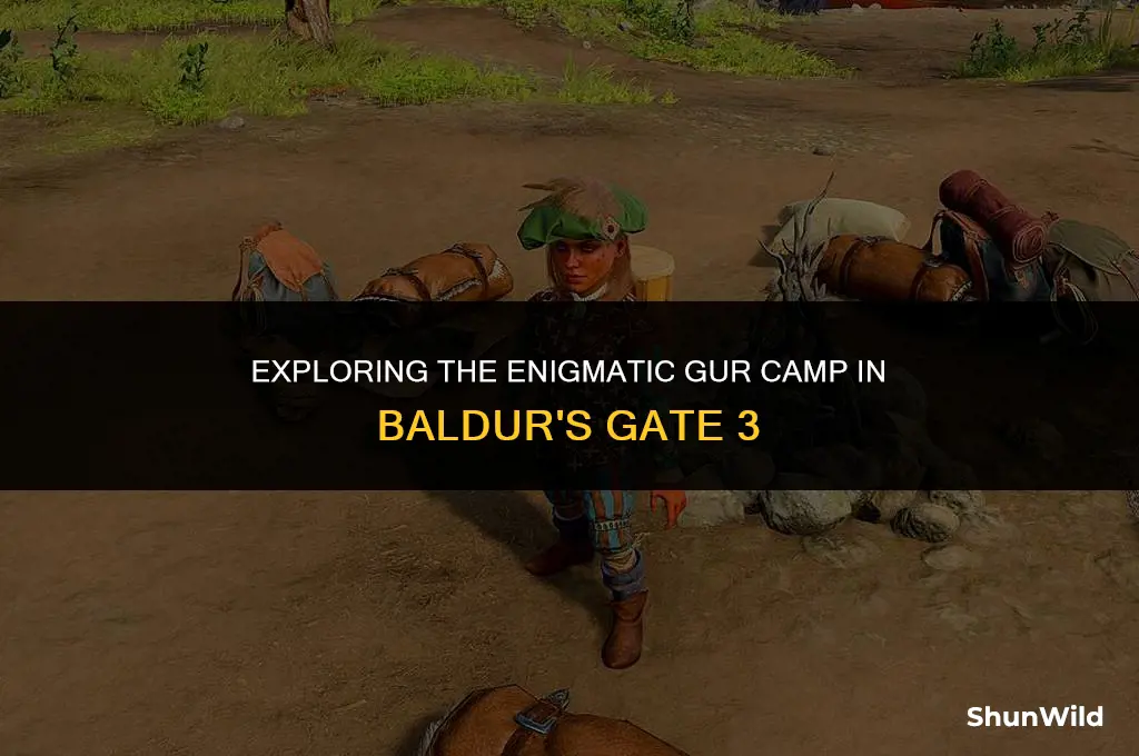 where is gur camp bg3