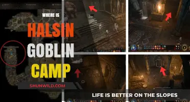 Discovering Halsin's Goblin Camp: Location Guide for Baldur's Gate 3 Players