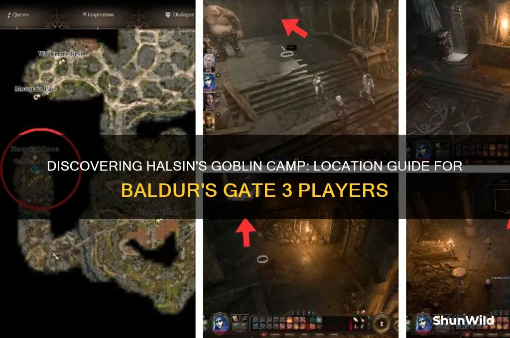 where is halsin goblin camp