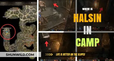 Exploring the Enchanting World of Halsin's Camp: A Journey Unveiled
