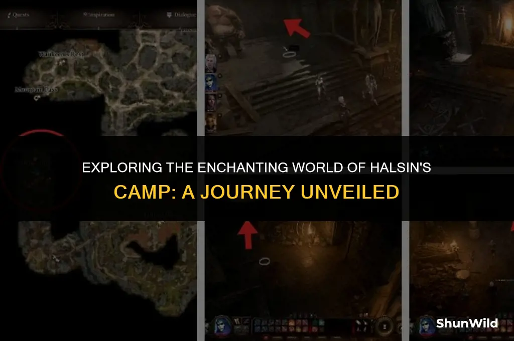 where is halsin in camp