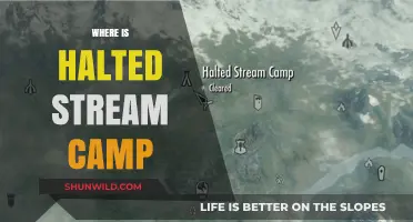 Discovering the Hidden Location of Halted Stream Camp: A Guide