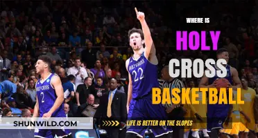 Holy Cross Basketball: Where Do They Play?