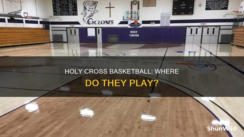 where is holy cross basketball