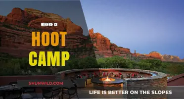 Exploring the Enchanting World of Hoot Camp: Where Magic Meets Nature