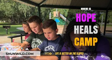 Discovering Hope: A Journey to Healing at Camp Restore
