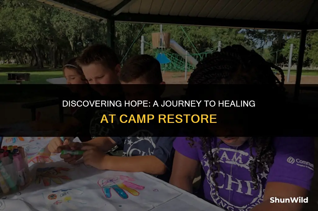 where is hope heals camp