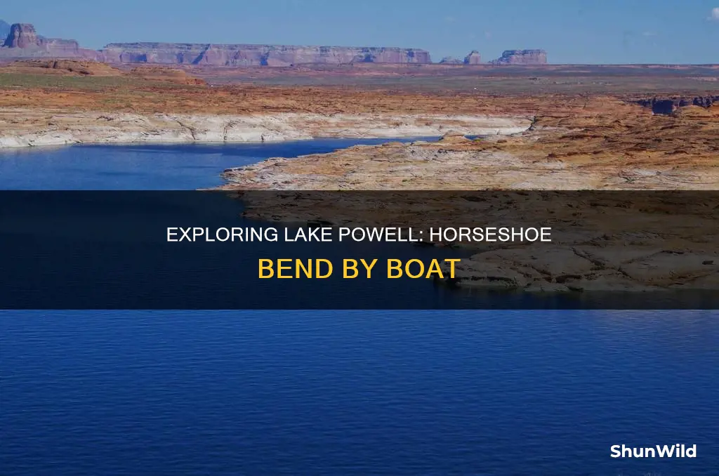 where is horse shoe at lake powell by boat