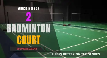 Badminton Court Positions: Where's In and On?