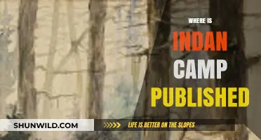 Exploring the Origins: Where is Indian Camp Published?