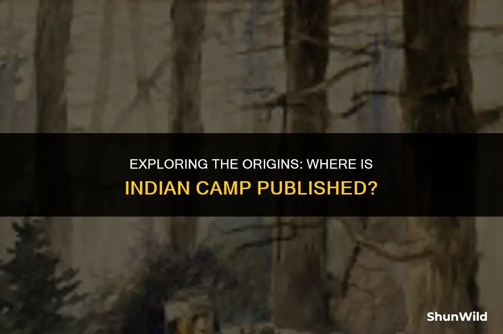 where is indan camp published