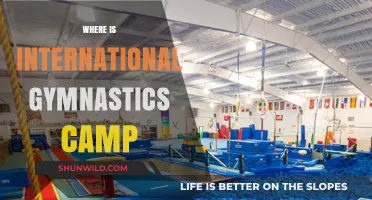 Discover the Ultimate International Gymnastics Camp Experience