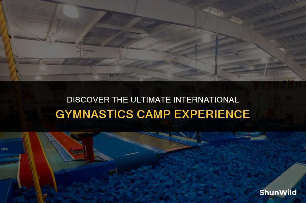 where is international gymnastics camp