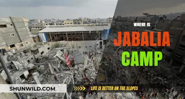 Discovering Jabalia Camp: A Journey Through Palestine's Largest Refugee Camp