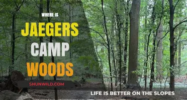 Exploring the Enchanting Jaeger's Camp Woods: A Hidden Gem Unveiled