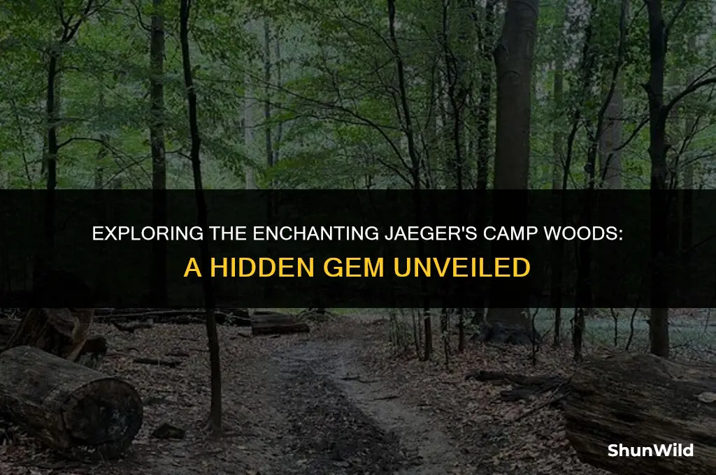 where is jaegers camp woods