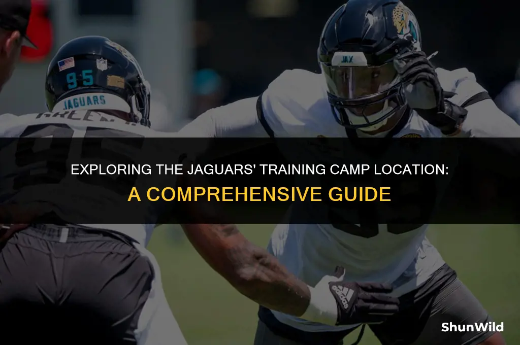 where is jaguars training camp