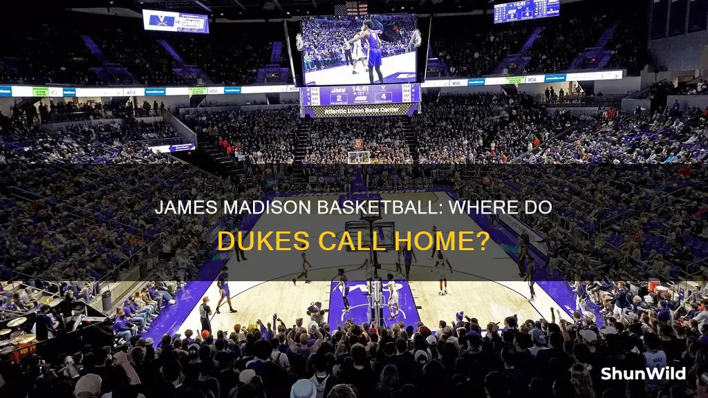 where is james madison basketball