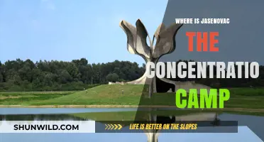 Jasenovac Concentration Camp: Location and Historical Significance Explained