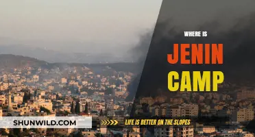 Exploring Jenin Refugee Camp: A Journey Through History and Resilience