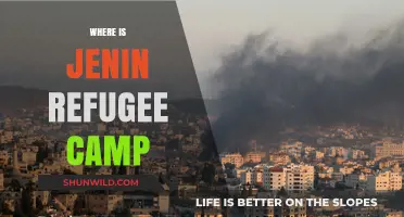 Exploring the Location and Conditions of Jenin Refugee Camp