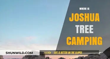 Exploring the Best Campsites in Joshua Tree National Park