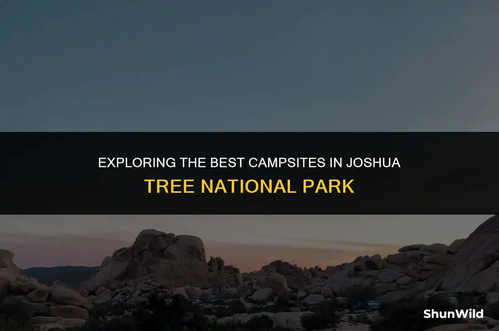 where is joshua tree camping