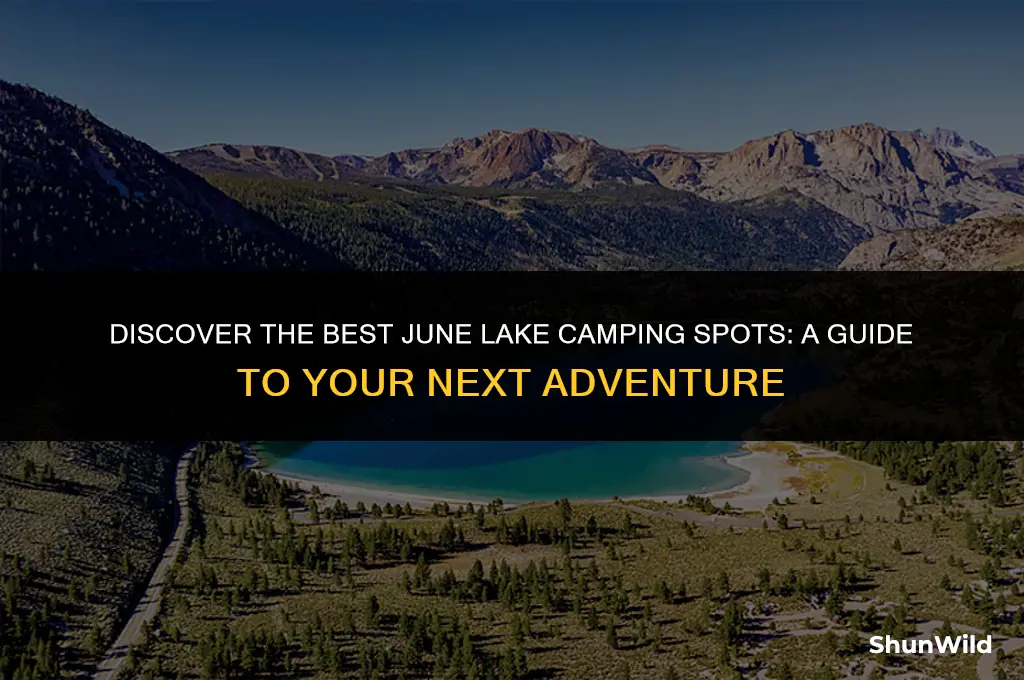 where is june lake camping