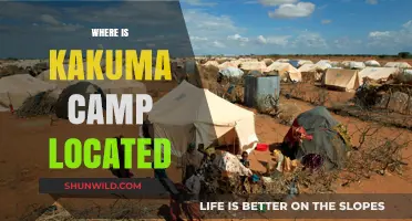 Unveiling Kakuma: A Journey to the Heart of Kenya's Refugee Camp