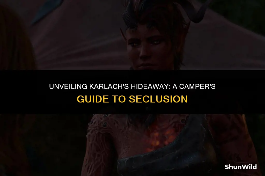 where is karlach in camp