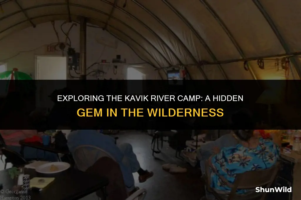 where is kavik river camp